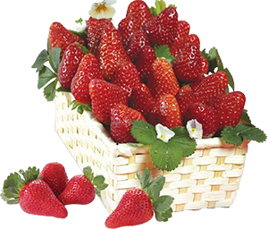 FRAGOLE SAPORI&IDEE CONAD