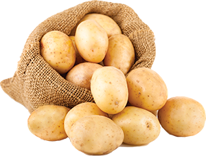 PATATE