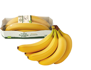 BANANE BIOLOGICHE VERSO NATURA CONAD