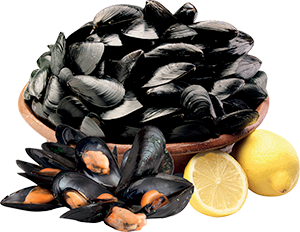 COZZE FRESCHE