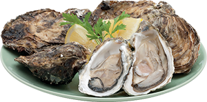 OSTRICHE CONCAVE FRANCIA