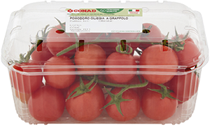 POMODORO CILIEGINO CONAD PERCORSO QUALITÀ 