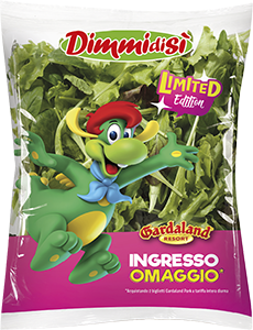 MIX ORIENTALE DIMMIDISÌ 