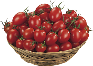 POMODORO DATTERINO