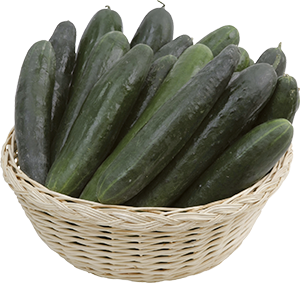 CETRIOLI