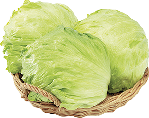 LATTUGA ICEBERG