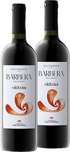 BARBERA PIACENTINO D.O.C. VALTIDONE