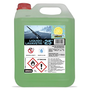 Lavavetri inverno -25°