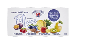 YOGURT MAGRO VIPITENO
