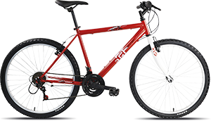 MOUNTAINBIKE 24” DENVER