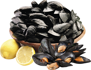 COZZE FRESCHE