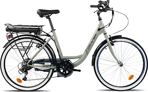 BICI ELETTRICA E4000
