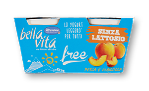 YOGURT SENZA LATTOSIO BELLA VITA VARI TIPI