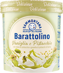GELATO BARATTOLINO DELIZIOSO SAMMONTANA 