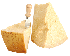 PARMIGIANO REGGIANO DOP MINIMO 28 MASSIMO 32 MESI