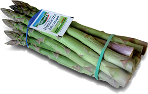 ASPARAGI