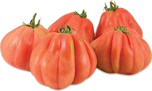 POMODORI CUORE DI BUE