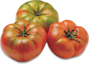 POMODORO COSTOLUTO