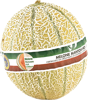 MELONE RETATO IGP MANTOVA