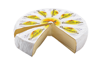 CAMOSCIO D’ORO 