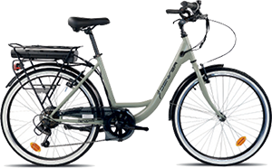 BICI ELETTRICA E4000