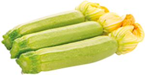 ZUCCHINE CHIARE FIORE