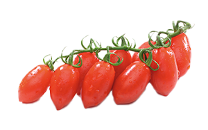 POMODORO DATTERINO HORTO NICHEL FREE