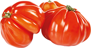 POMODORO CUORE DI BUE PIEMONTE