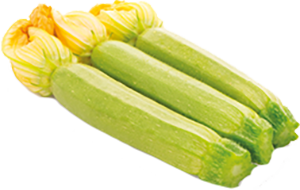 ZUCCHINE CHIARE FIORE