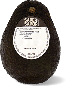 AVOCADO HASS SAPER DI SAPORI 