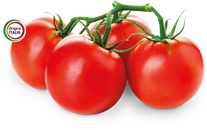 POMODORO GRAPPOLO HORTO