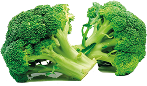 BROCCOLETTI
