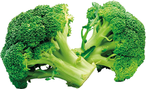 BROCCOLETTI
