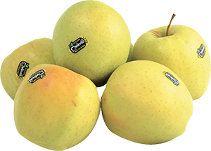 MELE GOLDEN DELICIOUS MELINDA