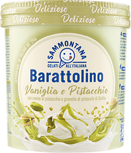 GELATO BARATTOLINO DELIZIE SAMMONTANA