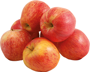 MELE GALA PIEMONTE CUNEO