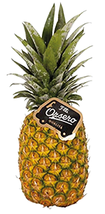 ANANAS ORSERO CAL.7