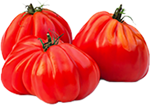POMODORI CUORE DI BUE