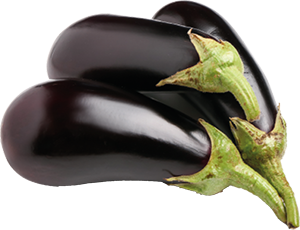 MELANZANE TONDE
