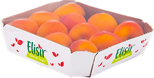 ALBICOCCHE ELISIR