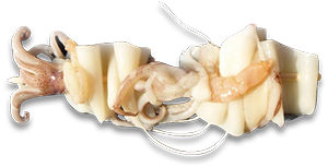 SPIEDINO CALAMARI E GAMBERI