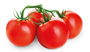 POMODORO GRAPPOLO HORTO