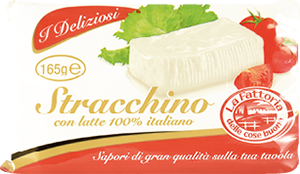 STRACCHINO CREMOSO LA FATTORIA DELLE COSE BUONE I DELIZIOSI