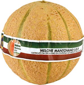 MELONE MANTOVANO IGP