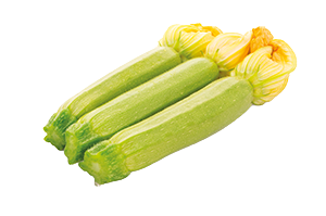 ZUCCHINE CHIARE FIORE PIEMONTE