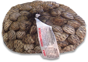 VONGOLE LUPINO