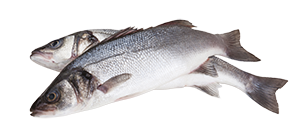 BRANZINO 3/4 ALLEVATO ESTERO