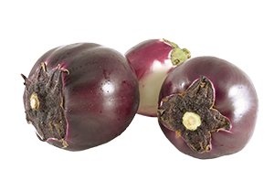 MELANZANE VIOLA