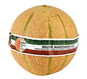 MELONE MANTOVANO IGP