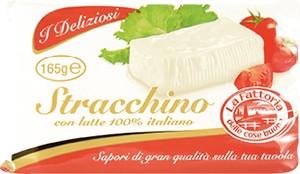 STRACCHINO CREMOSO LA FATTORIA DELLE COSE BUONE I DELIZIOSI